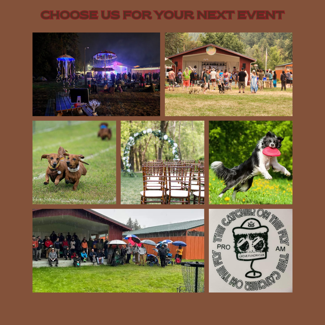 Events Collage